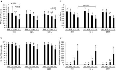 Temperature limits for storage of extended boar semen from the perspective of the sperm's energy status